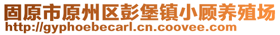 固原市原州區(qū)彭堡鎮(zhèn)小顧養(yǎng)殖場(chǎng)