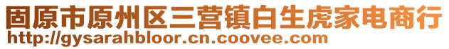 固原市原州区三营镇白生虎家电商行