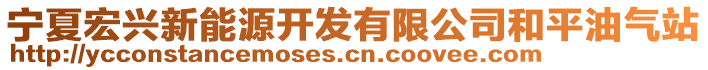 寧夏宏興新能源開發(fā)有限公司和平油氣站