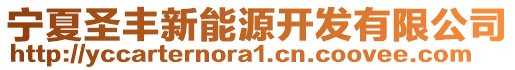 寧夏圣豐新能源開(kāi)發(fā)有限公司