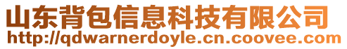 山東背包信息科技有限公司