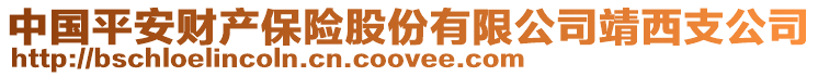 中国平安财产保险股份有限公司靖西支公司