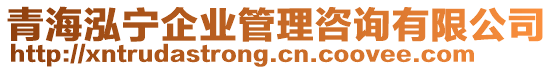 青海泓寧企業(yè)管理咨詢有限公司