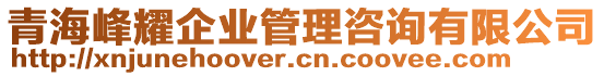 青海峰耀企業(yè)管理咨詢有限公司