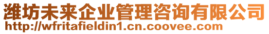 潍坊未来企业管理咨询有限公司