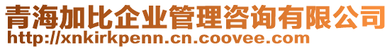 青海加比企業(yè)管理咨詢有限公司