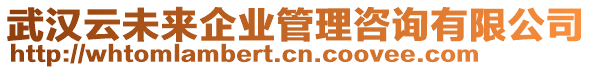 武漢云未來企業(yè)管理咨詢有限公司