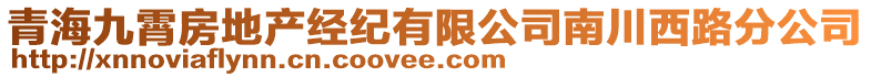 青海九霄房地產(chǎn)經(jīng)紀(jì)有限公司南川西路分公司