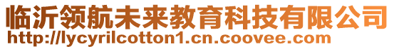 临沂领航未来教育科技有限公司