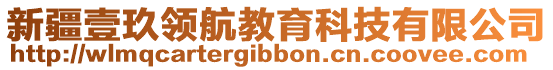 新疆壹玖領(lǐng)航教育科技有限公司