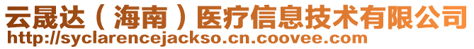 云晟達(dá)（海南）醫(yī)療信息技術(shù)有限公司