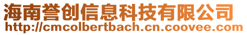 海南譽創(chuàng)信息科技有限公司