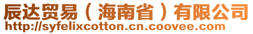 辰達(dá)貿(mào)易（海南省）有限公司