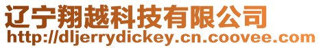 遼寧翔越科技有限公司