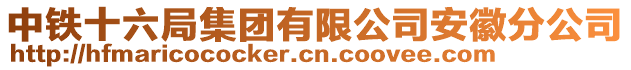 中鐵十六局集團(tuán)有限公司安徽分公司