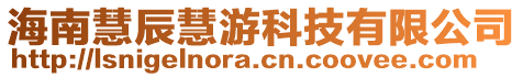 海南慧辰慧游科技有限公司