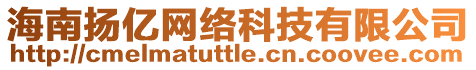 海南揚(yáng)億網(wǎng)絡(luò)科技有限公司