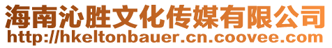 海南沁勝文化傳媒有限公司