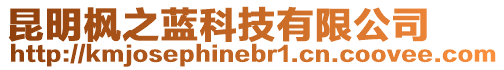 昆明楓之藍(lán)科技有限公司