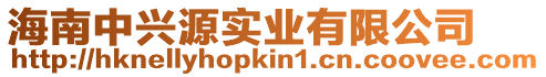 海南中興源實業有限公司