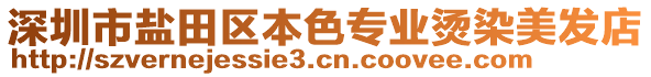 深圳市鹽田區(qū)本色專業(yè)燙染美發(fā)店