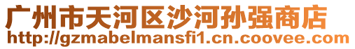 廣州市天河區(qū)沙河孫強商店