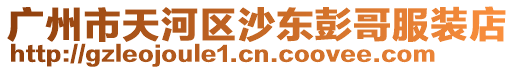 廣州市天河區沙東彭哥服裝店
