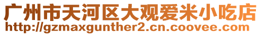 廣州市天河區(qū)大觀愛米小吃店