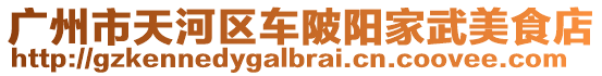廣州市天河區(qū)車陂陽家武美食店