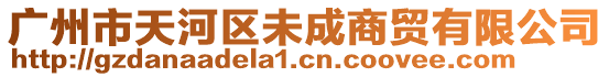 廣州市天河區未成商貿有限公司