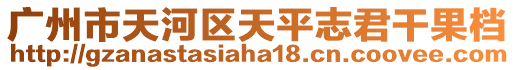 廣州市天河區天平志君干果檔