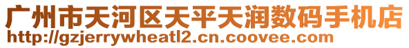 廣州市天河區天平天潤數碼手機店