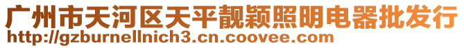 廣州市天河區天平靚穎照明電器批發行