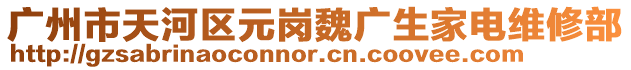 廣州市天河區元崗魏廣生家電維修部