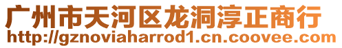 廣州市天河區龍洞淳正商行