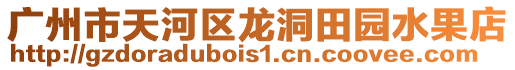 廣州市天河區龍洞田園水果店