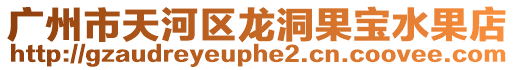 廣州市天河區龍洞果寶水果店