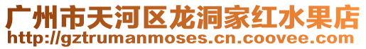 廣州市天河區龍洞家紅水果店