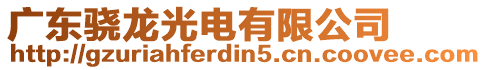 廣東驍龍光電有限公司