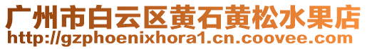 廣州市白云區(qū)黃石黃松水果店