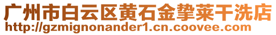 廣州市白云區(qū)黃石金摯萊干洗店