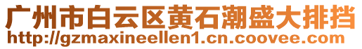 廣州市白云區(qū)黃石潮盛大排擋