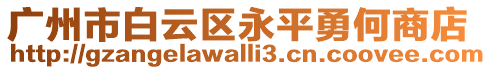 廣州市白云區(qū)永平勇何商店