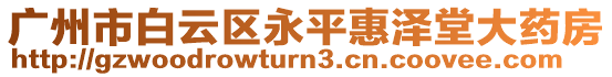 廣州市白云區永平惠澤堂大藥房