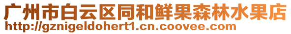 廣州市白云區(qū)同和鮮果森林水果店