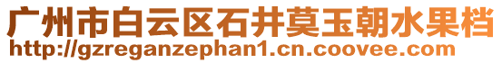 廣州市白云區石井莫玉朝水果檔