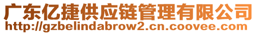 廣東億捷供應鏈管理有限公司