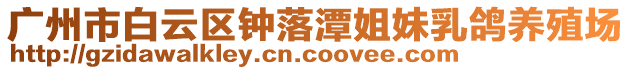 廣州市白云區(qū)鐘落潭姐妹乳鴿養(yǎng)殖場