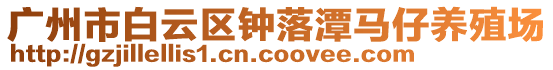 廣州市白云區鐘落潭馬仔養殖場