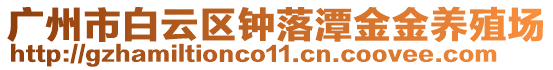 廣州市白云區鐘落潭金金養殖場